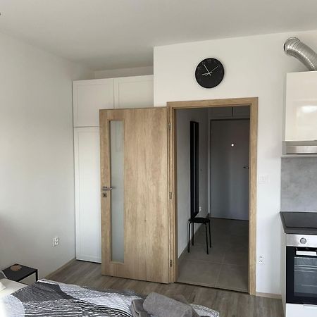 Appartamento Apartman U Tedyho Kasperske Hory Esterno foto